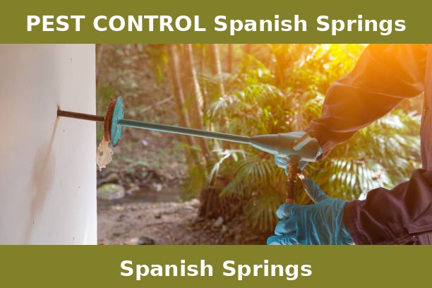 PEST CONTROL Spanish Springs